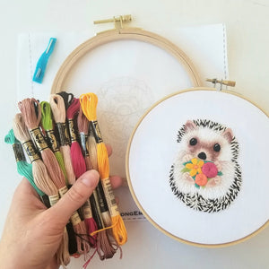 Hedgehog Embroidery Kit - Full DMC Skeins