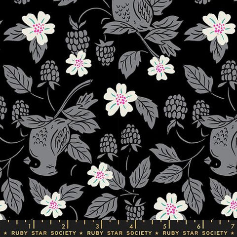 Backyard Cardinal Cotton Fabric - Black RS2084 15