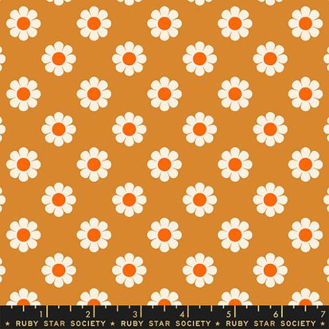 Meadow Star Honey Pie Cotton Quilting Fabric - Caramel RS4100 13