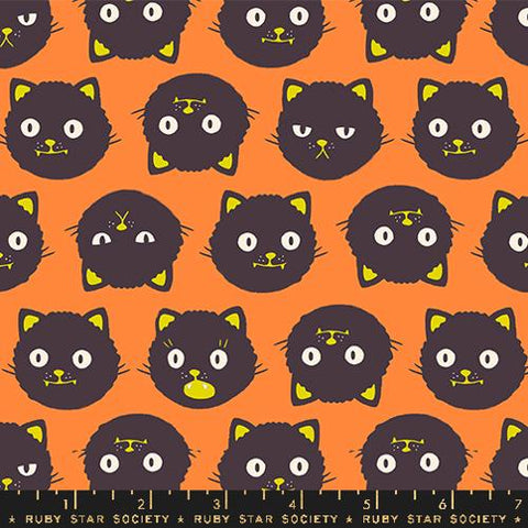 Good Spirits Scaredy Cats Cotton Fabric - Pumpkin RS5137 12G