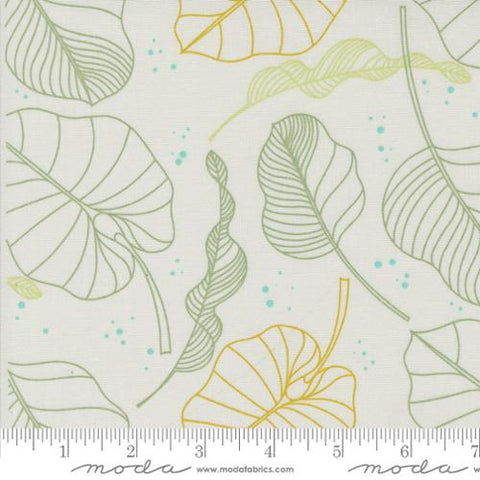 Olive You Leaves Cotton Fabric - Fog 1880 12