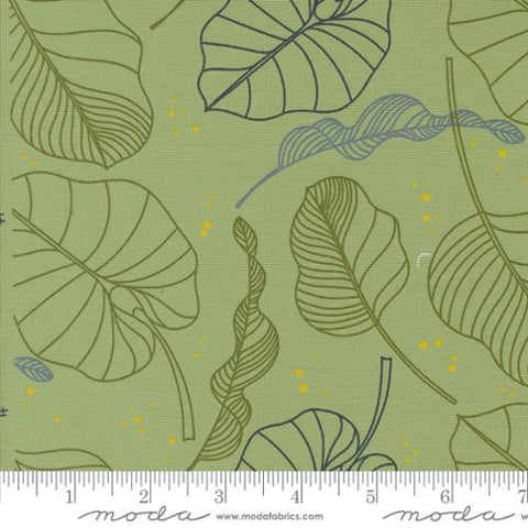 Olive You Leaves Cotton Fabric - Sage 1880 18