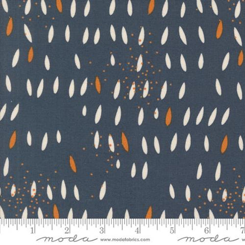 Simply Cozy Seeds Cotton Fabric - Navy 1893 16