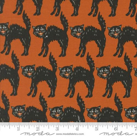 Home Sweet Haunt Little Black Cat Cotton Fabric - Rust 20915 13