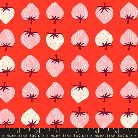 Strawberry Cotton Fabric - Lollipop RS3084 18