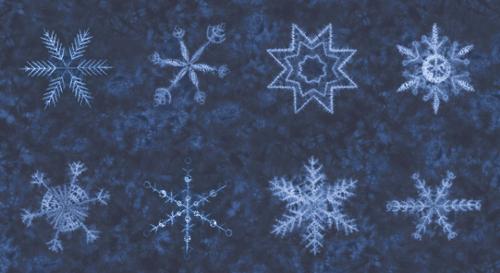 Winter Chill Snowflake Panel Cotton Fabric - Midnight 48109 11
