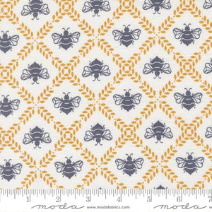 Sun Drenched Gathering Honey Cotton Canvas Fabric - Cloud 43204 31CV