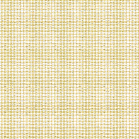 Classy Ripple Mini Gingham Seersucker Fabric - Yellow AP42801 1D