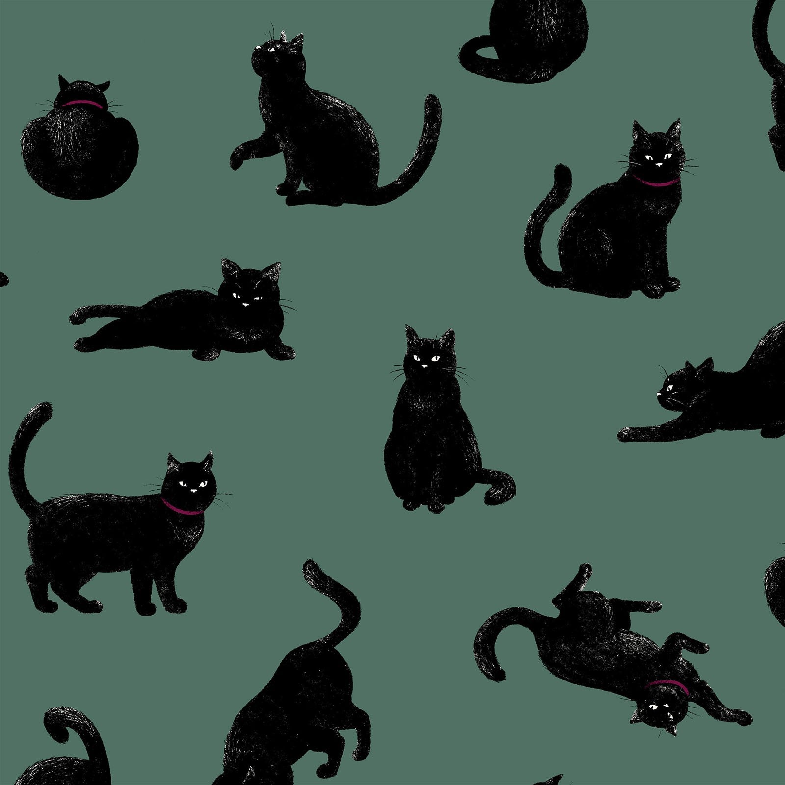Black Cats Cotton Oxford Fabric - Teal