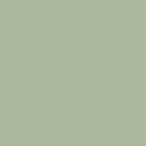 Fresh Sage Solid Cotton Flannel Fabric - FS213