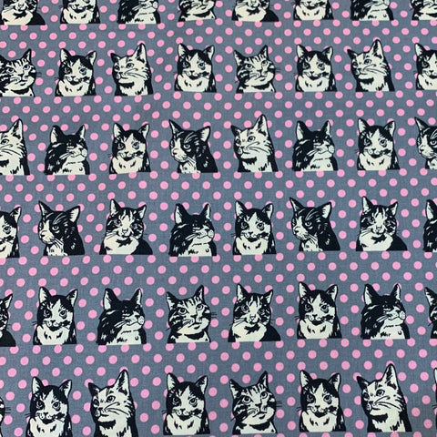 In The Pop World Cotton Sheeting Fabric