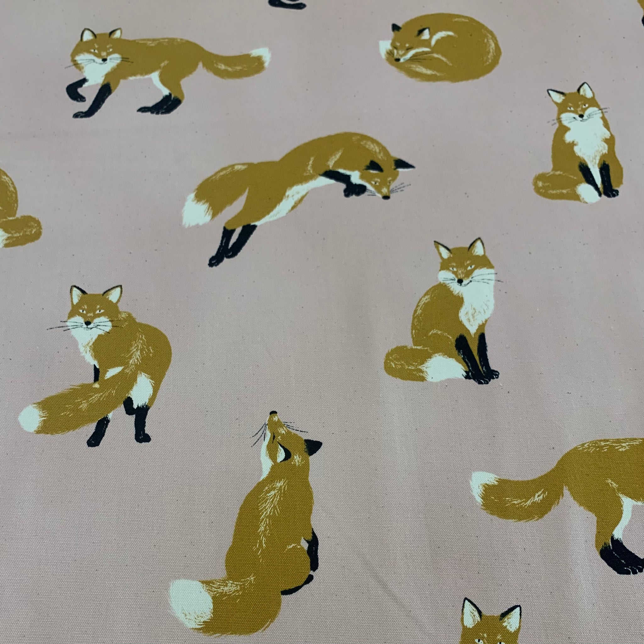 Fox Cotton Shirting Fabric