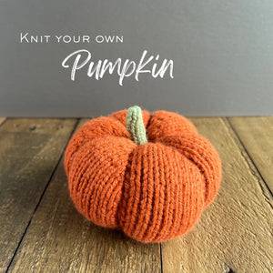 Beginner Pumpkin Knit Kit