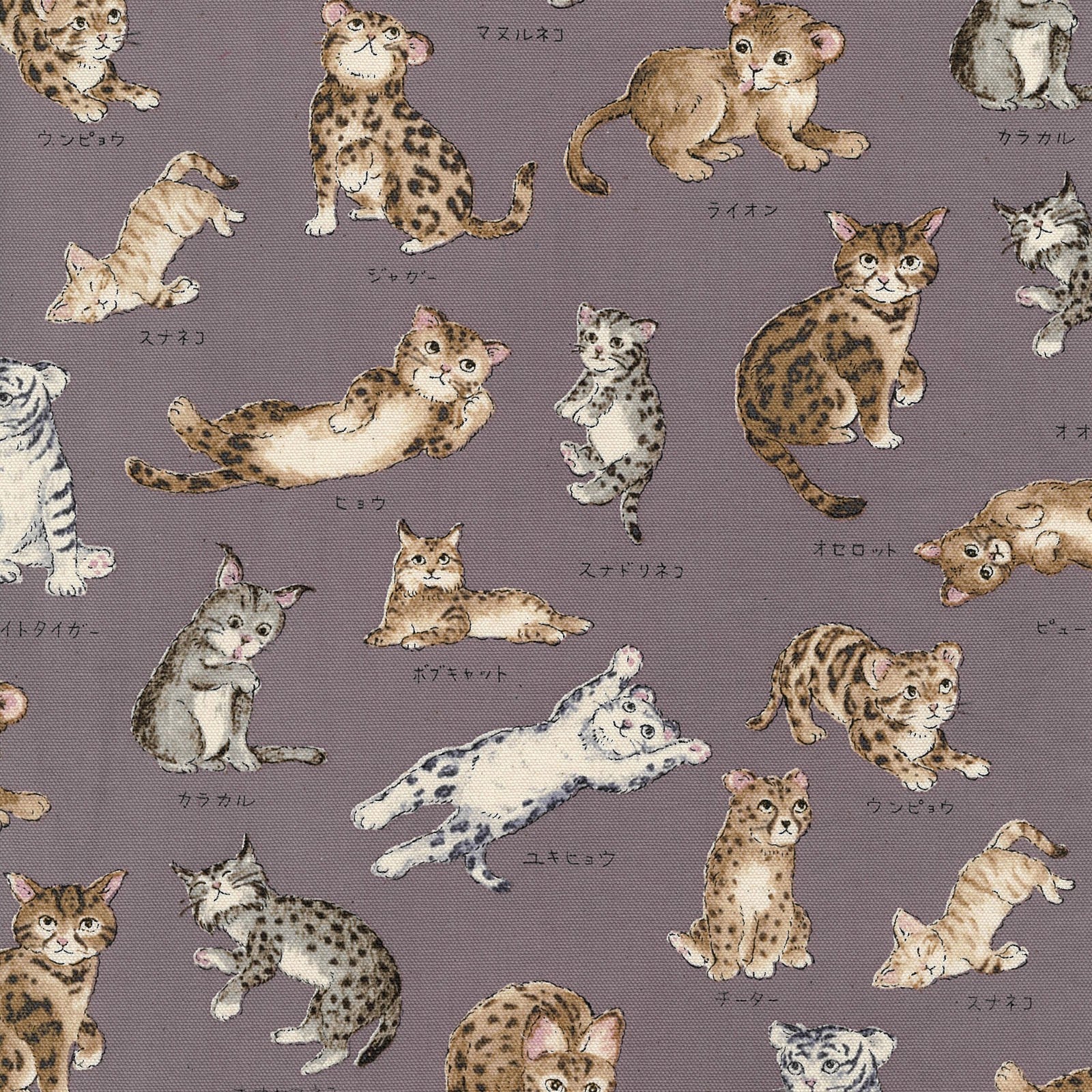 llustrated Book Cat Family Cotton Oxford Fabric  - YPA 61000 1 C