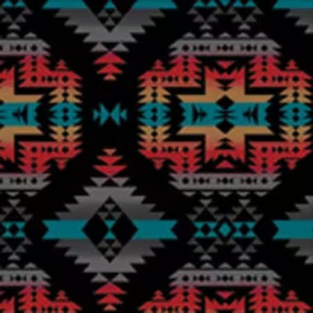 Canyon Polar Fleece Fabric Black