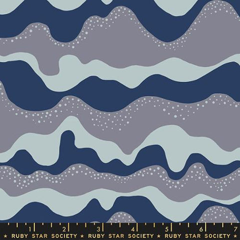 Floradora Sea and Sky Cotton Fabric - Navy RS6026 13
